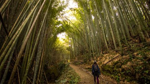 ハイキング初心者が知っておきたいマナー6選！心地良く山歩きを楽しもう