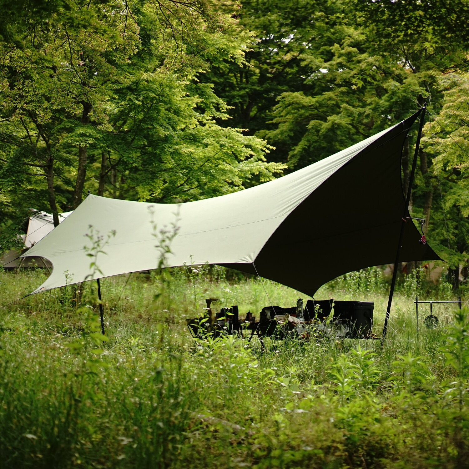 夏キャンプが快適になるタープ。ソトラボ「コカゲウィング」を徹底 