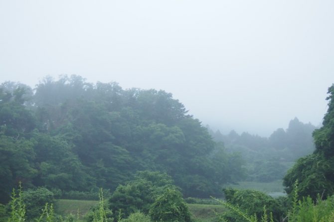 雨キャンプ、料理を楽しむための3つのポイントを解説