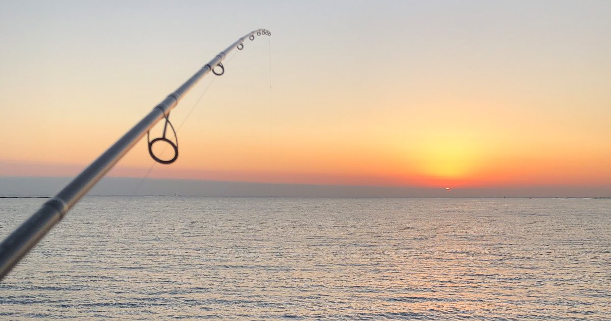 一番釣れるのはこのタイミング 潮の動きを理解して釣りをしよう 海 川 カヌー 釣り Be Pal キャンプ アウトドア 自然派生活の情報源ビーパル