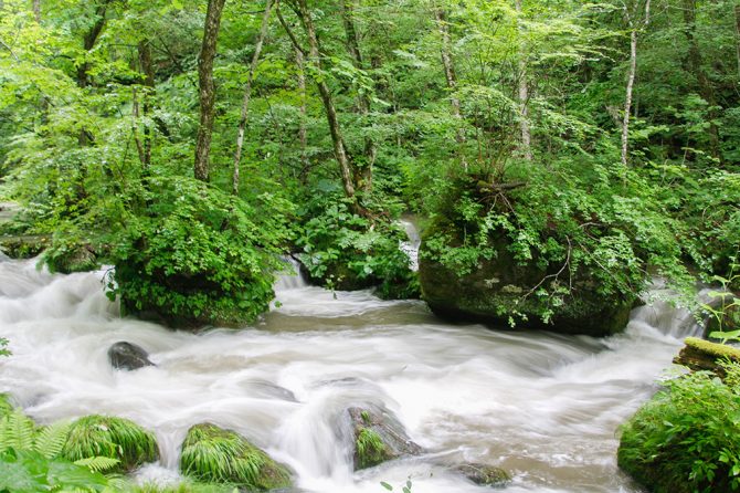 夏はサイクリングが気持ち良い！苔むす森に癒される奥入瀬渓流の遊び方