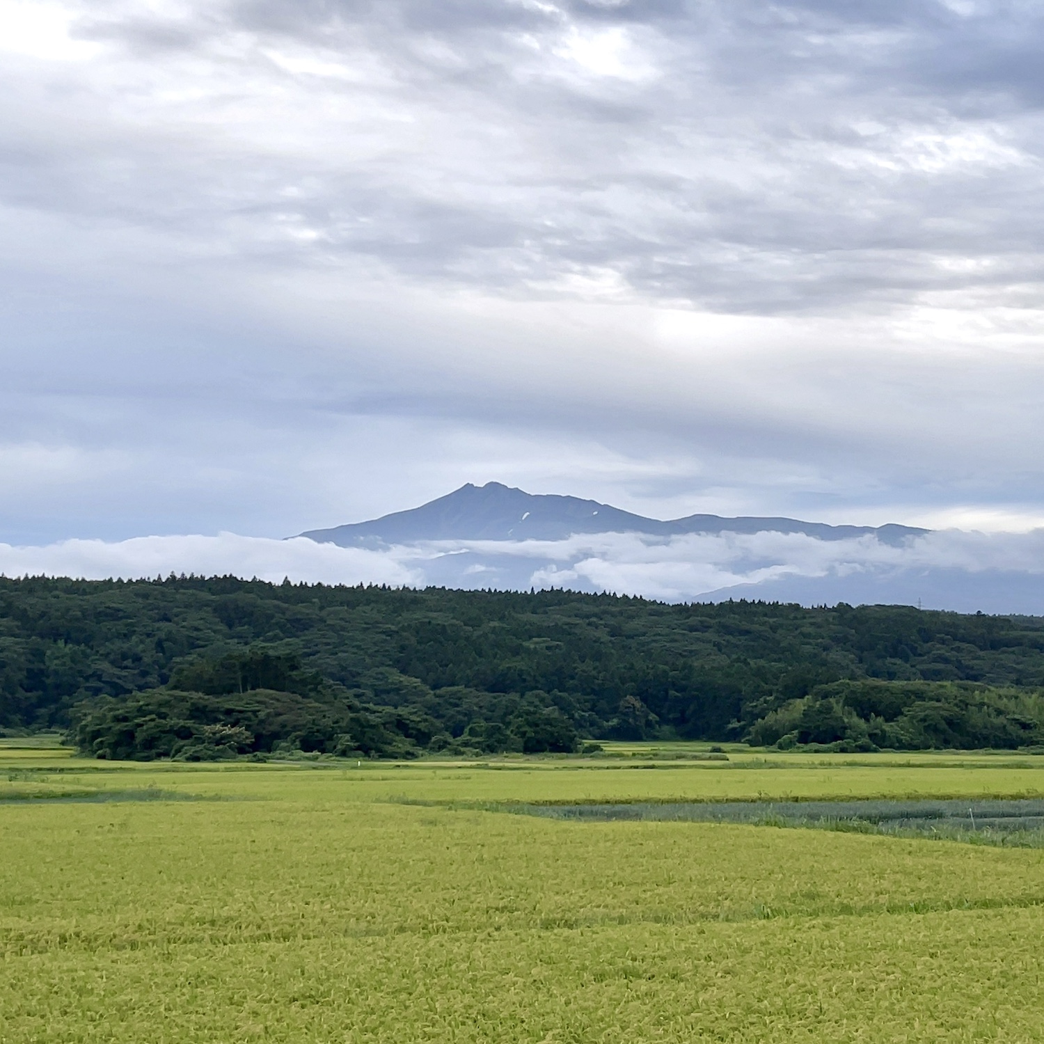 鳥海山