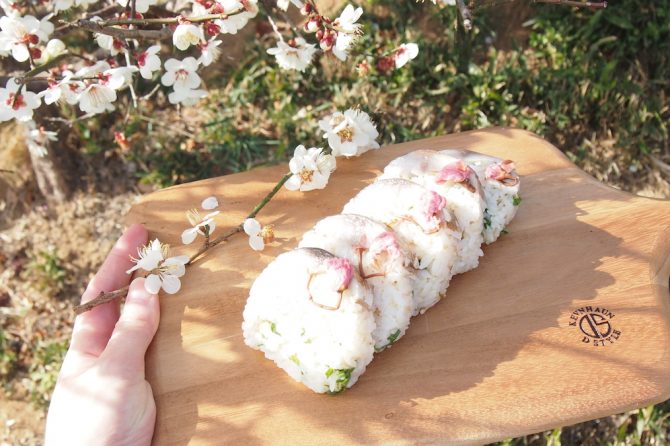 お花見キャンプで食べたい！ラップで作れる「炙りしめ鯖の桜棒寿司」