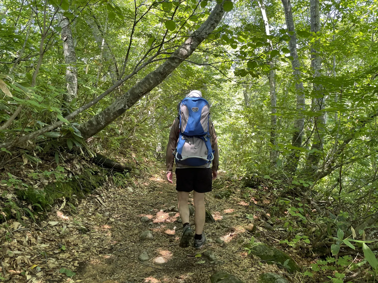 登山用ベビーキャリアの特徴は？選び方やおすすめの商品を5個紹介