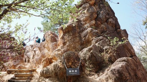 関西の登山ならまずは「六甲山」へ！山ガールが初心者おすすめルートを解説