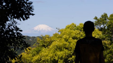 約4年ぶりに開通だ！富士山＆オーシャンビューを満喫できる「祇園山ハイキングコース」