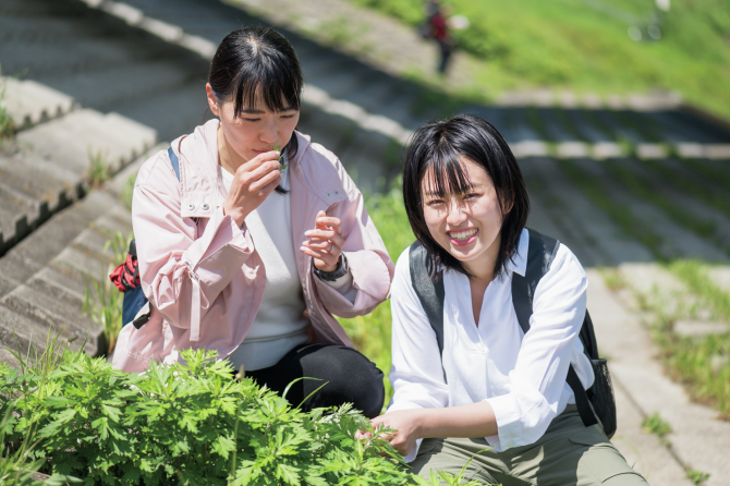 身近な草花の