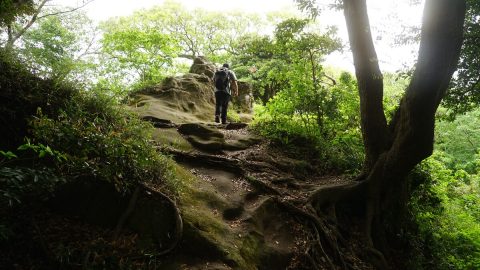 鎌倉の天園ハイキングコースは“手軽なのに結構きつい”最高の散策スポットだ！