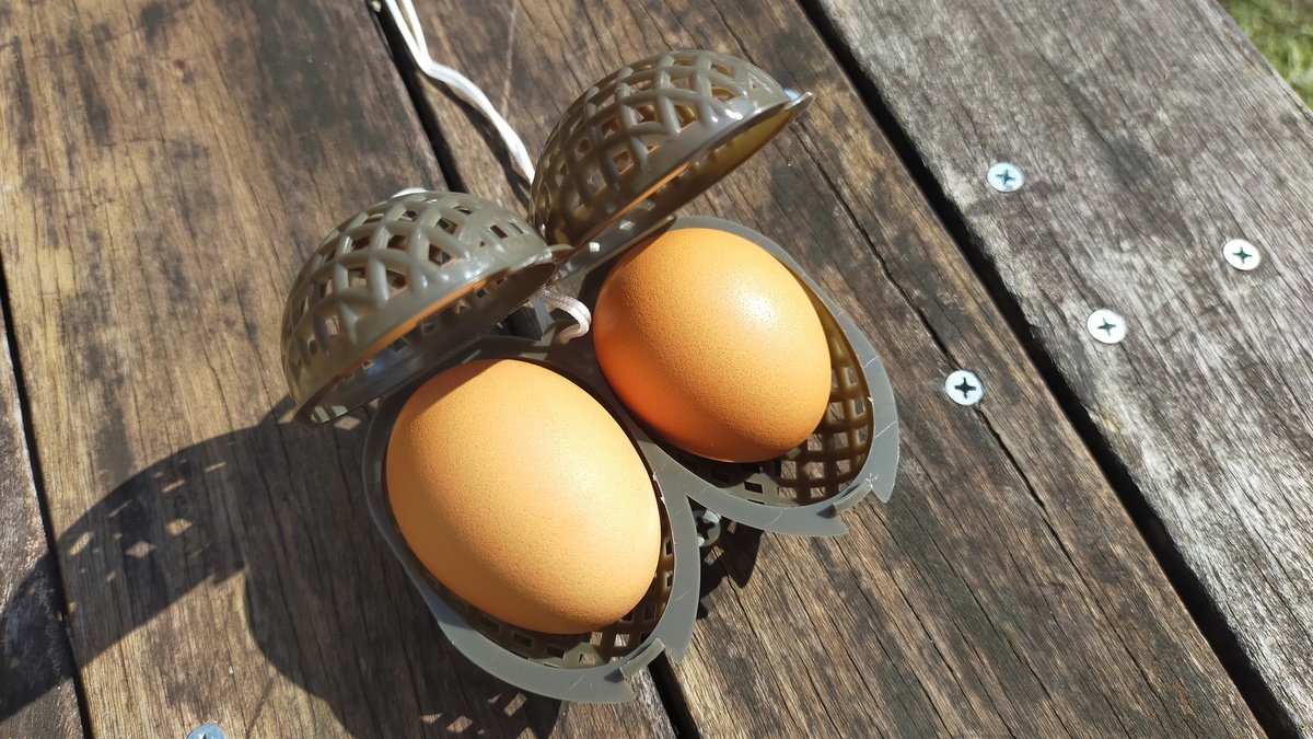 エッグケースの中に卵が２個おさまっている様子。