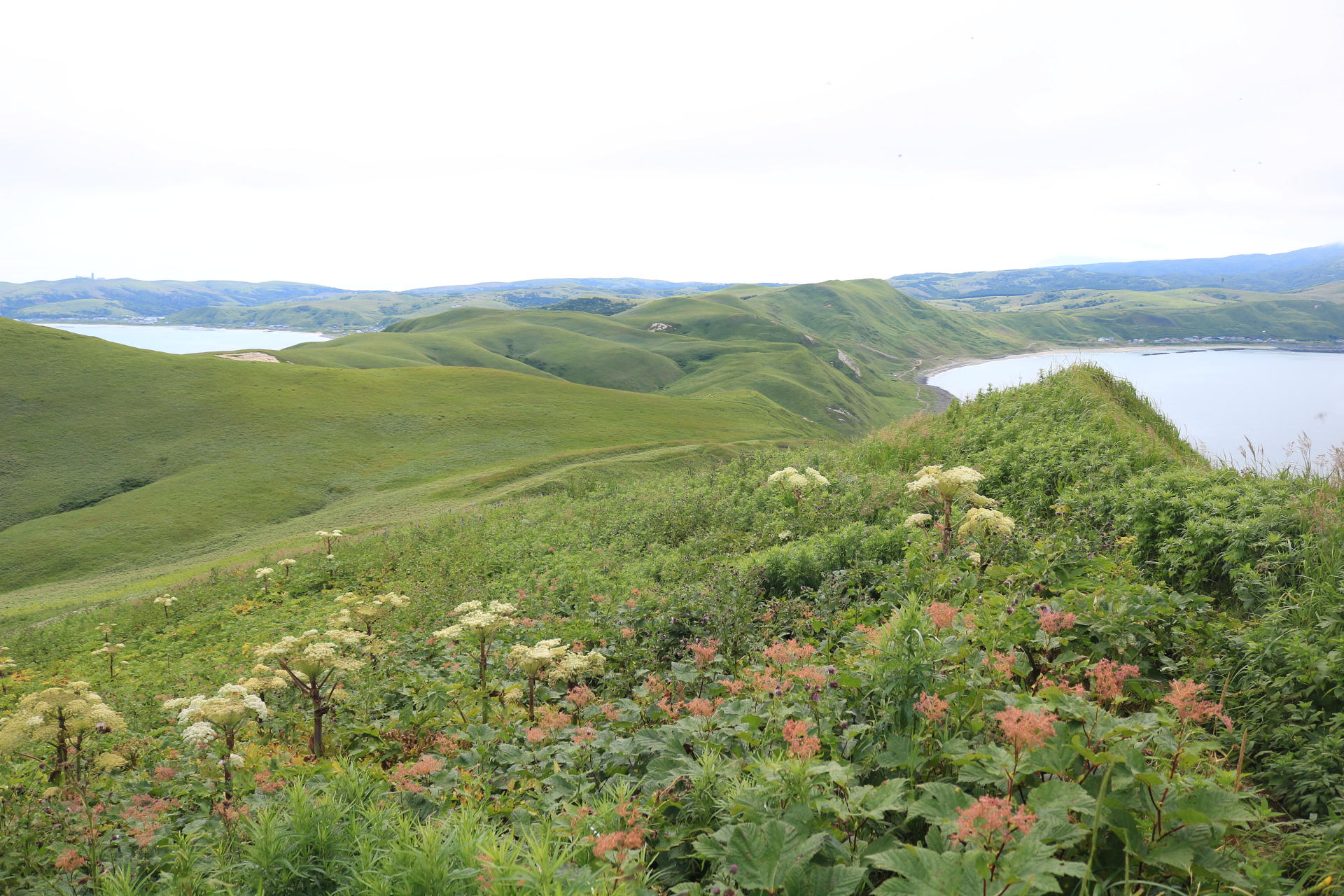 北海道礼文島で絶景トレッキング！日本の端っこの島で岬巡りを