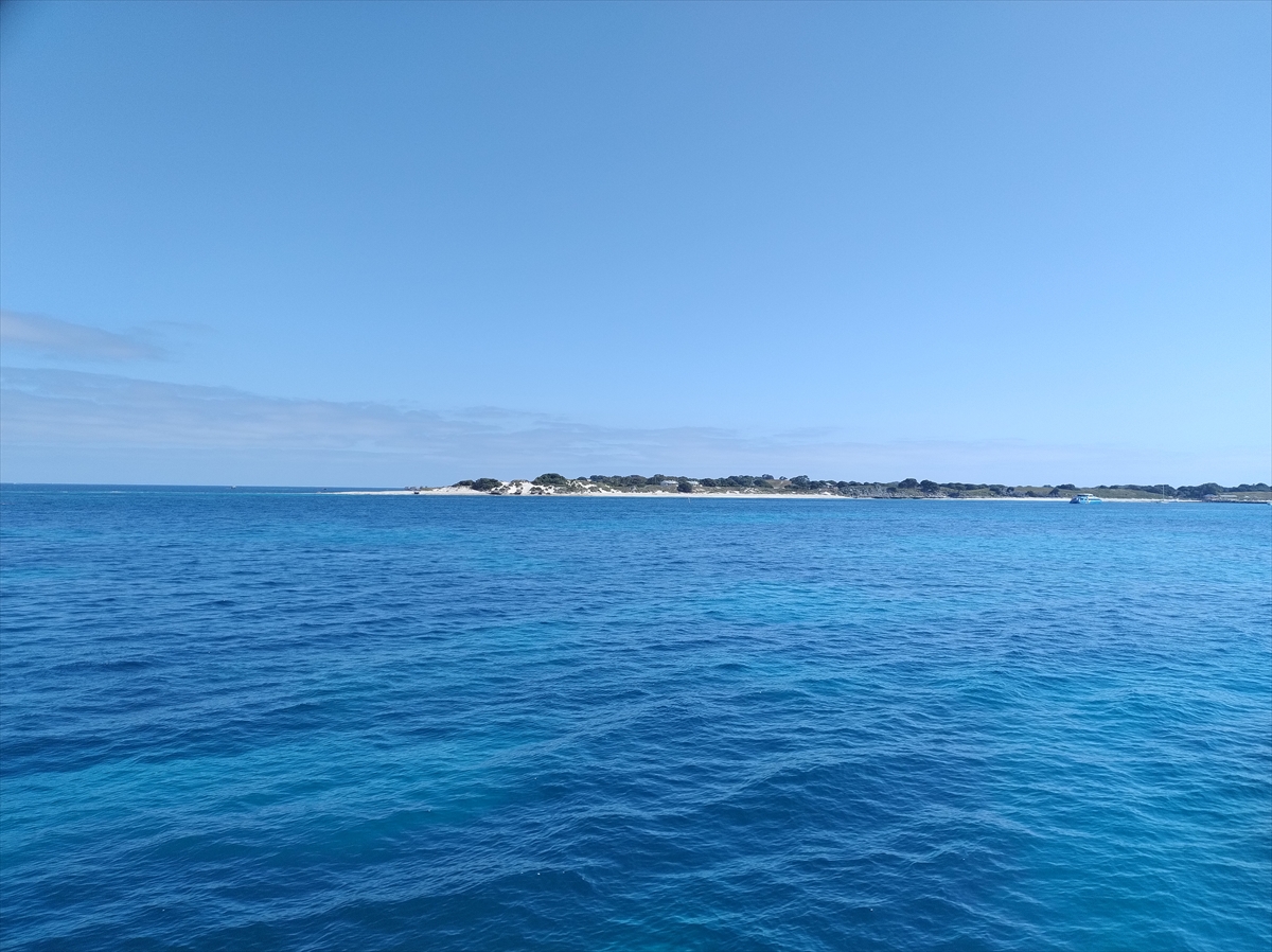 海がむっちゃきれい！　遠くに見えるのがロットネスト島です。島全体が国立公園です。