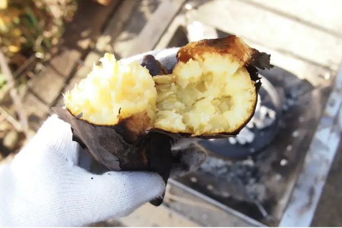 ダッチオーブンで石焼き芋を作ろう！必要な道具と作り方のポイント