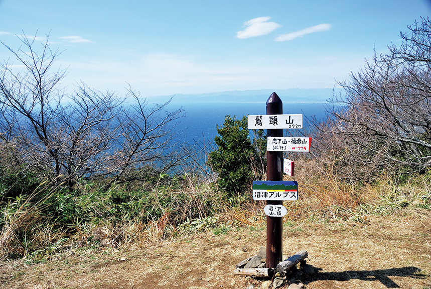 飯能の天覧山、大島の三原山…景色だけでなくローカルフードも楽しめる低山５選