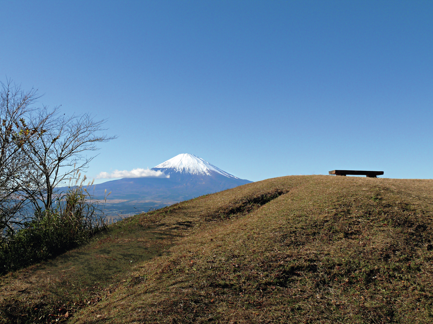 足柄峠