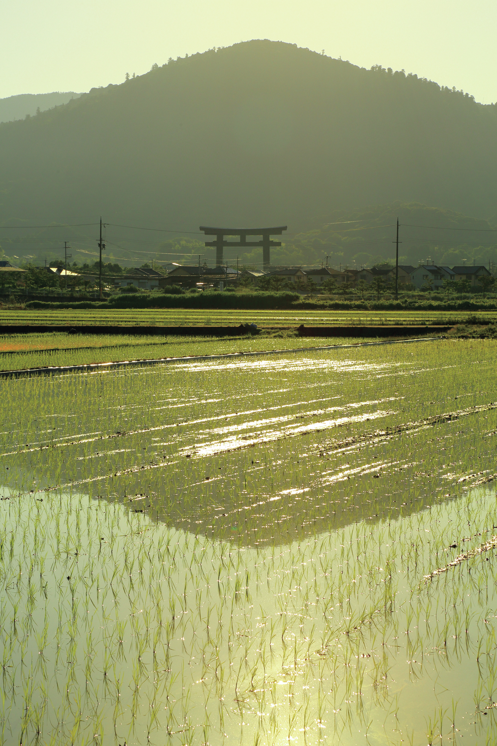 三輪山