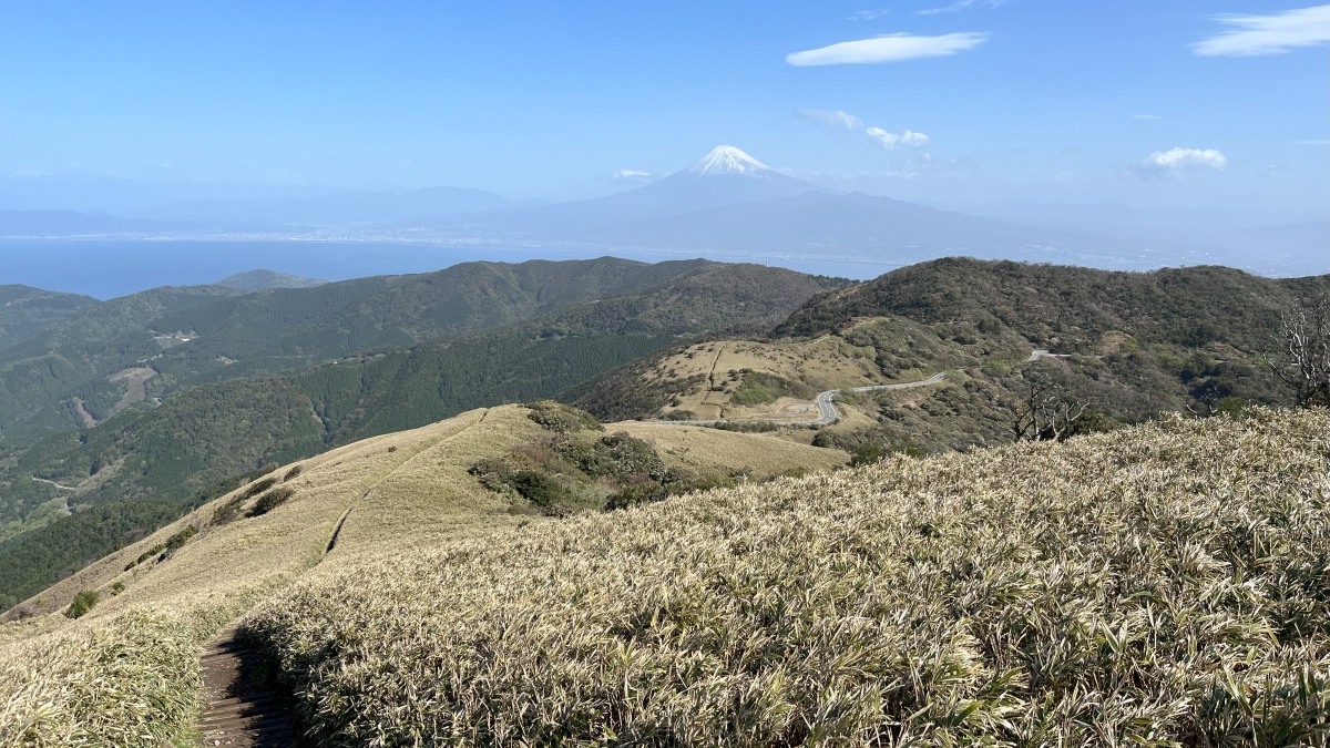 達磨山山頂付近から北側の景色
