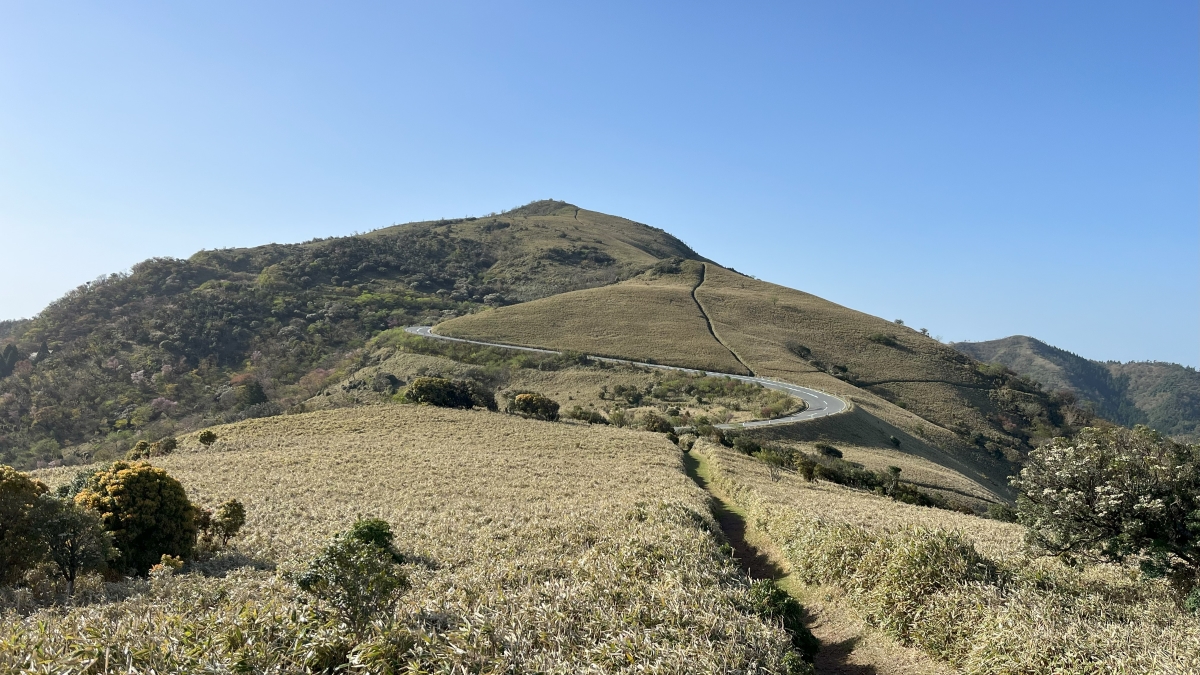 達磨山の稜線