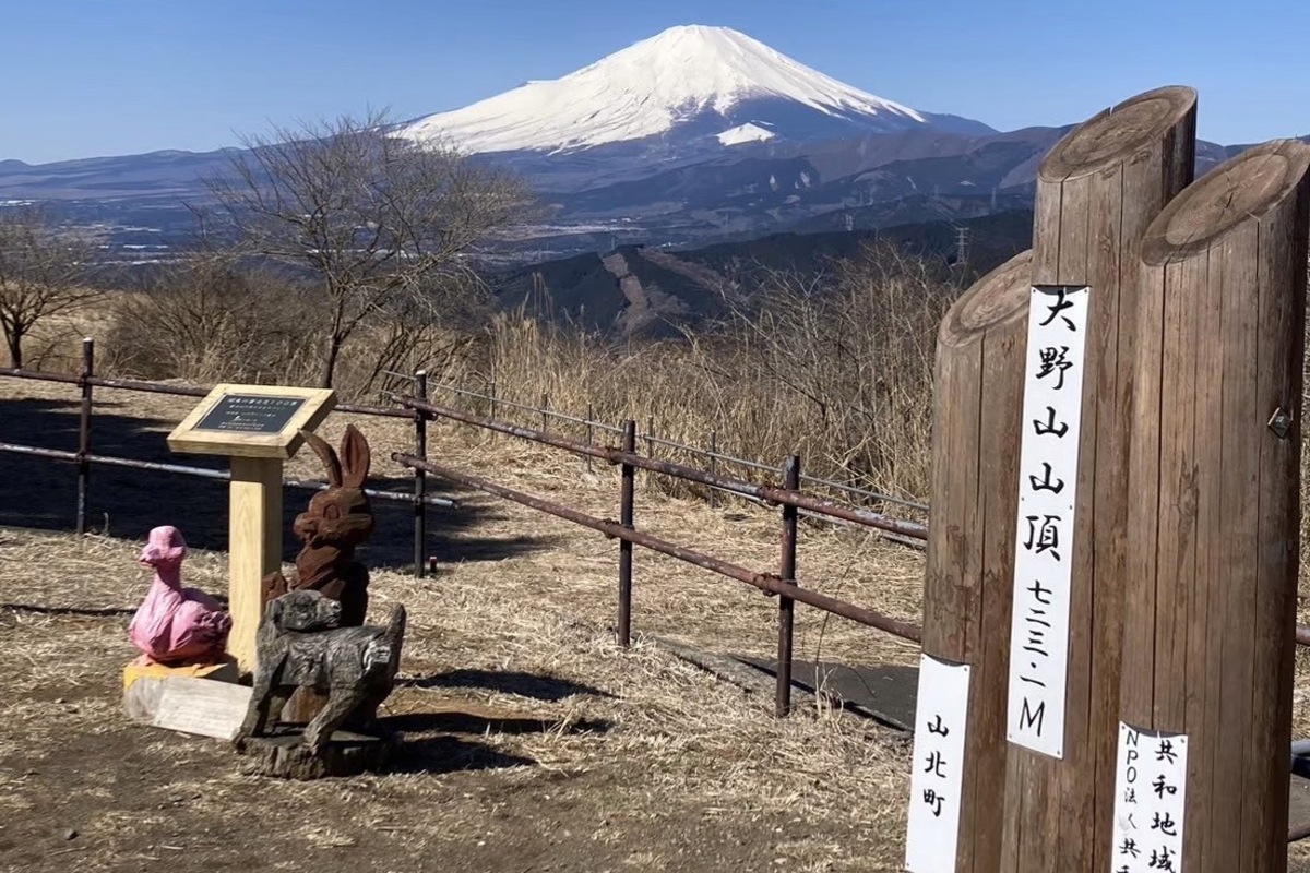 大野山山頂と富士山