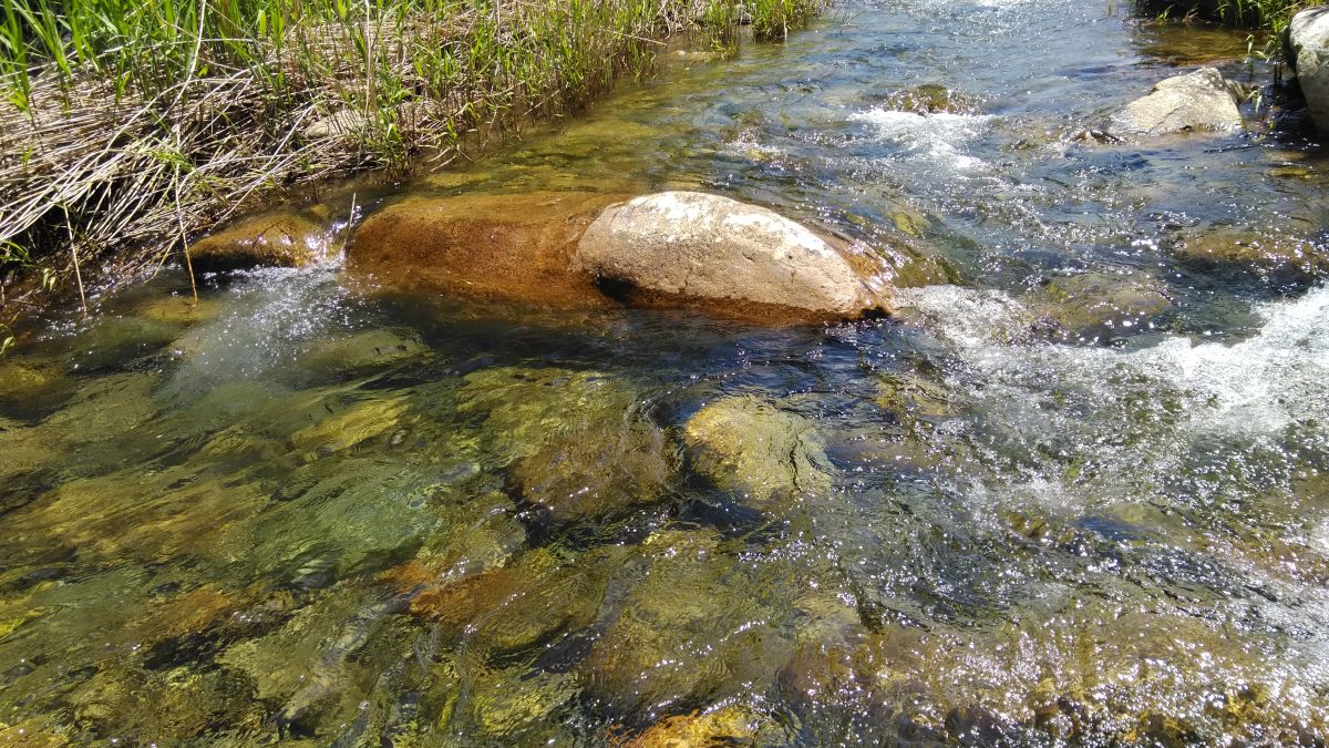 石の裏の緩流帯