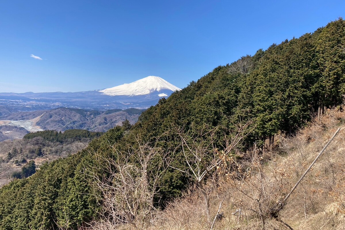 道中での富士山