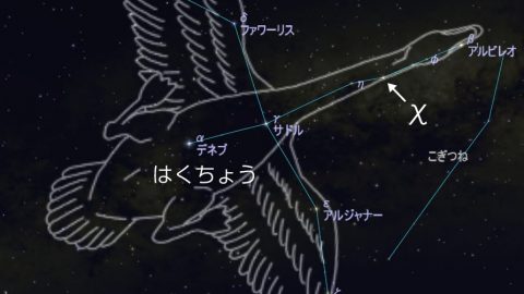 7月25日は「はくちょう座」の首がちょっと曲がって見える!? 変光星の χ（カイ）星に注目！