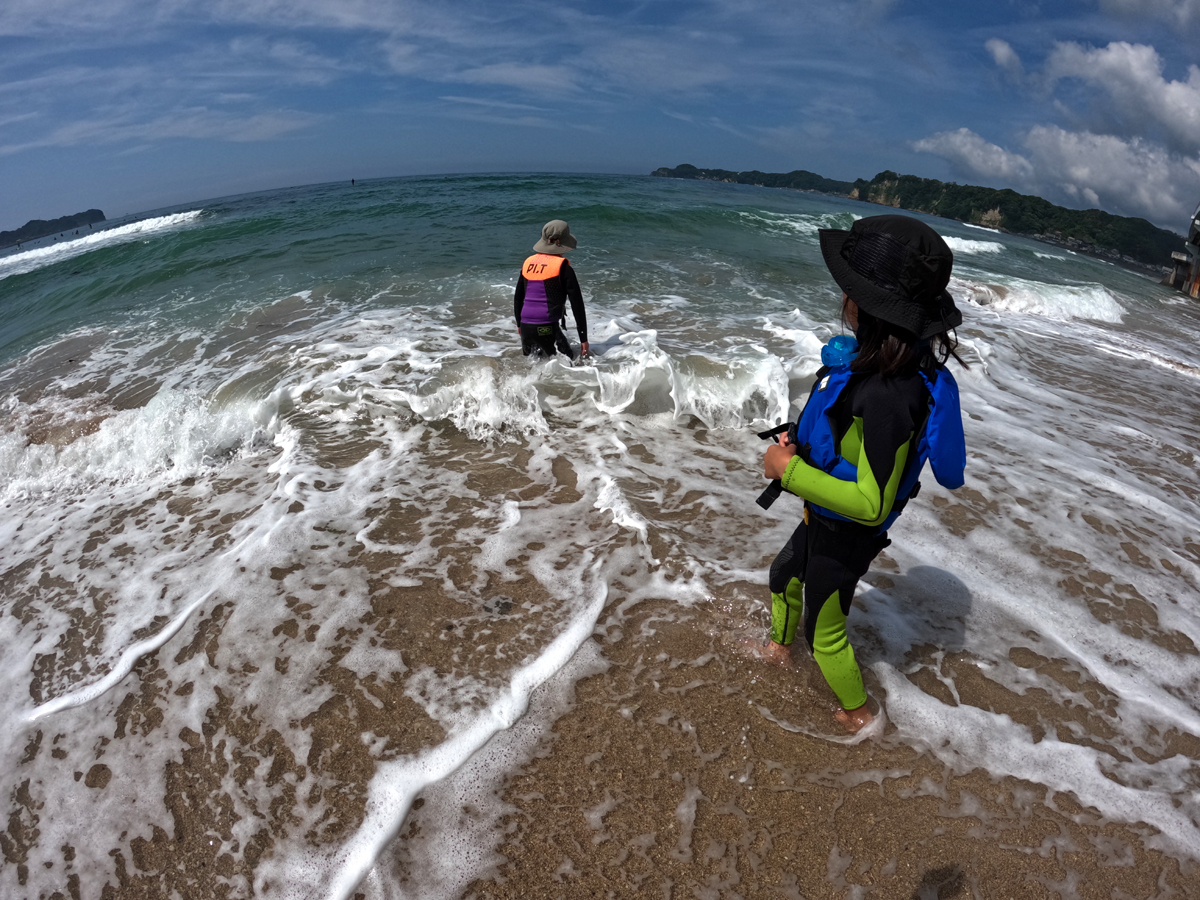 透き通った勝浦の海