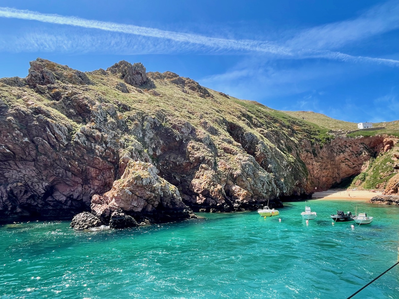 berlengas