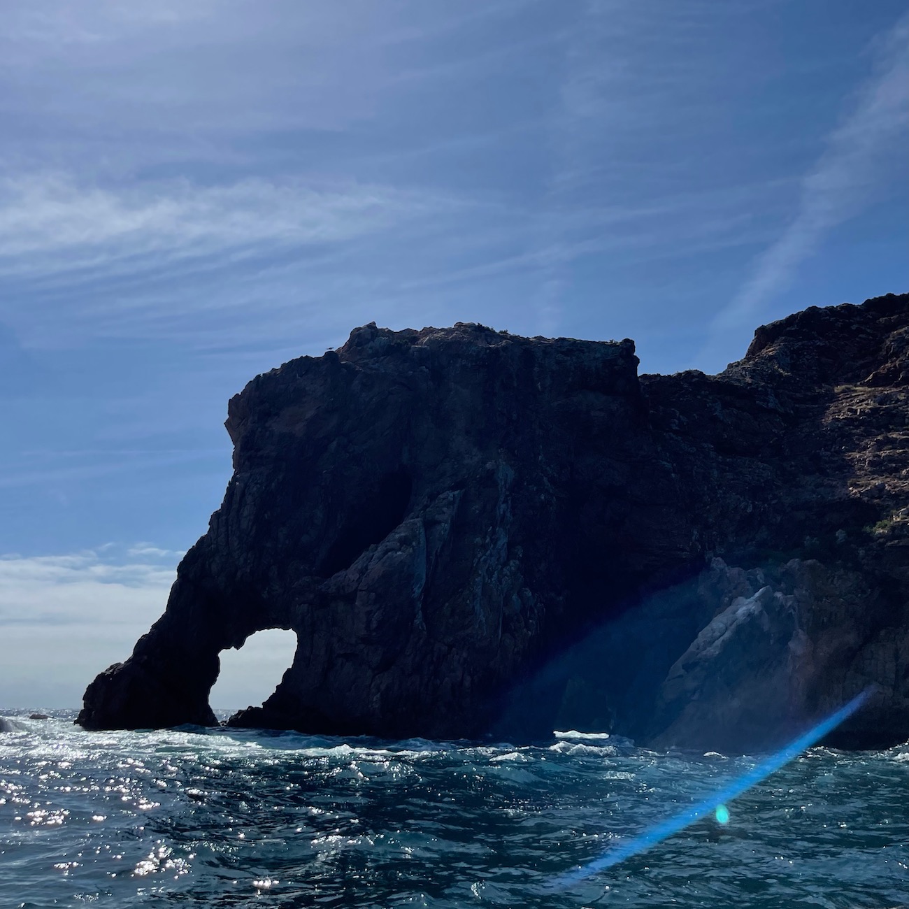 berlengas