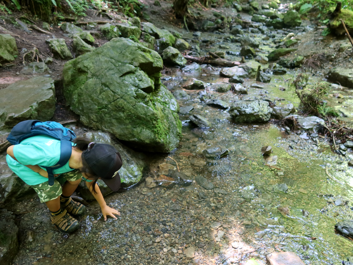 川の水を触るこども