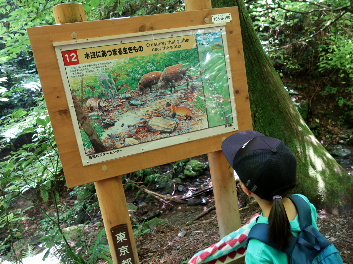 高尾山の豆知識看板