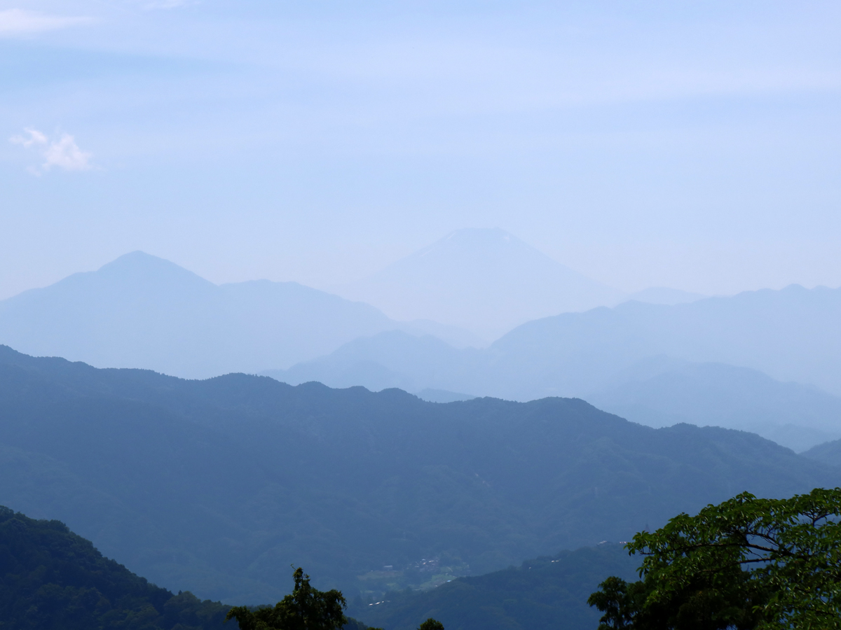 富士山が見える