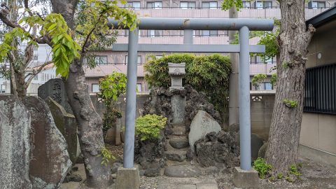 江戸川区「真蔵院」境内に鎮座するイカヅチ富士【プロハイカー斉藤正史のTOKYO山頂ガイド File.69】