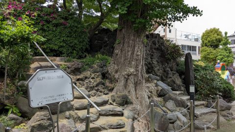 弘法大師の石像が納められた江戸川区・安養寺の富士塚へ【プロハイカー斉藤正史のTOKYO山頂ガイド File.71】