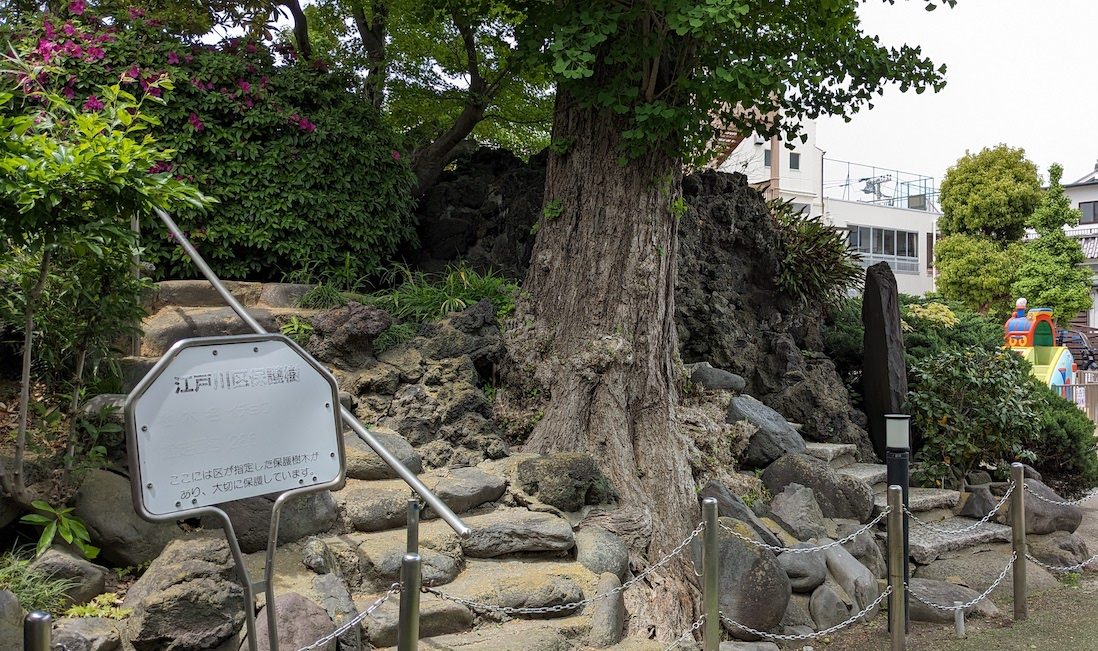 弘法大師の石像が納められた江戸川区・安養寺の富士塚へ【プロハイカー斉藤正史のTOKYO山頂ガイド File.71】