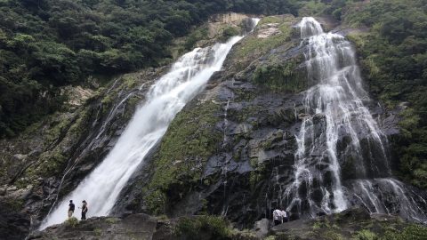 滝を見て涼もう！屋久島「大川の滝」の迫力がすごかった