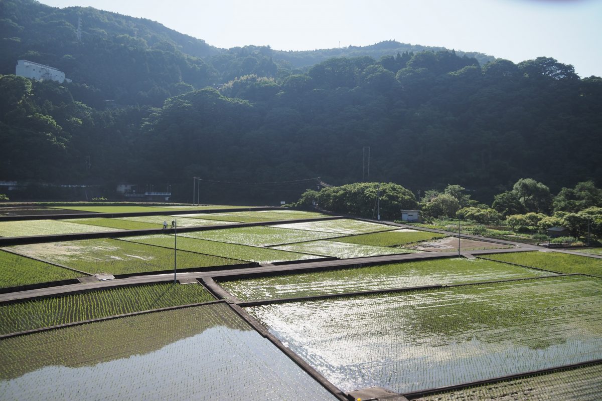 田園風景