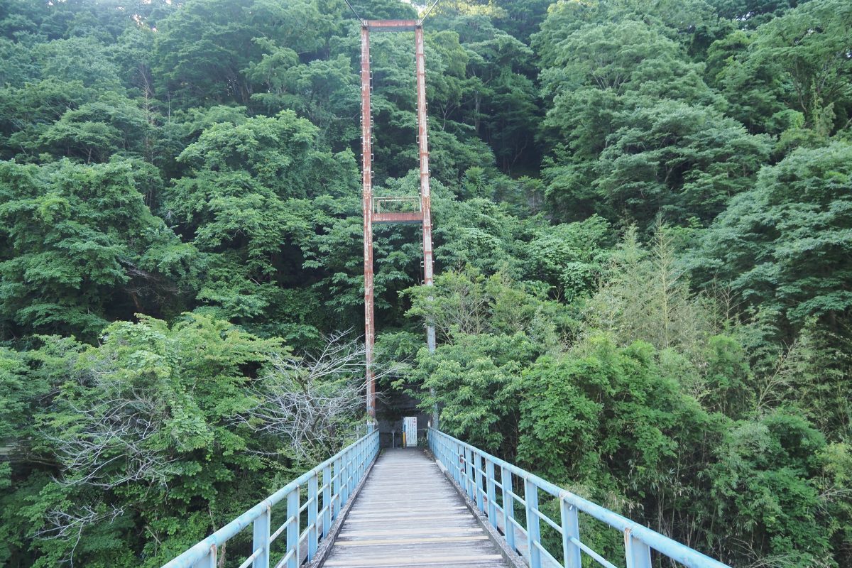 大野山　登山道