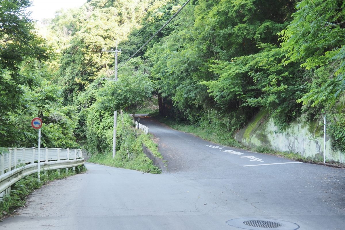 大野山　登山道