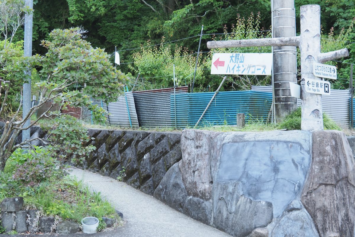 大野山　登山道