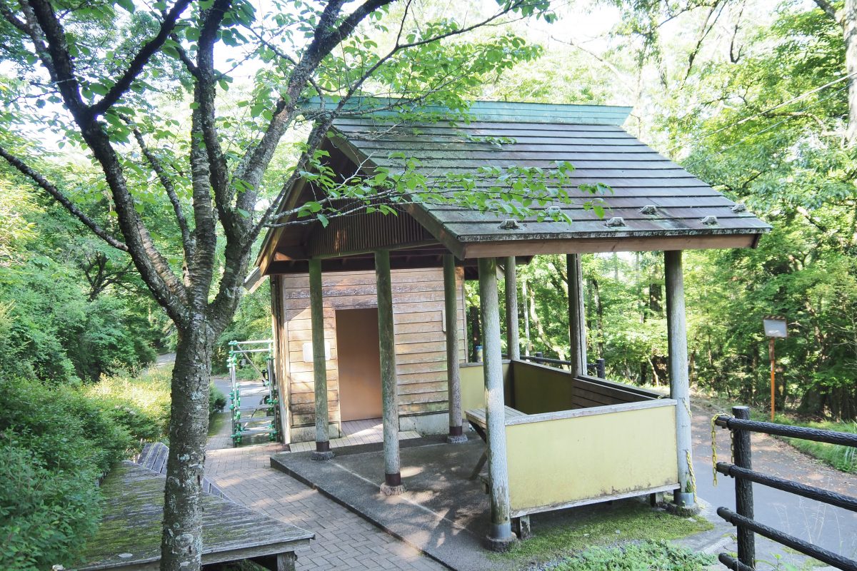 大野山　登山道