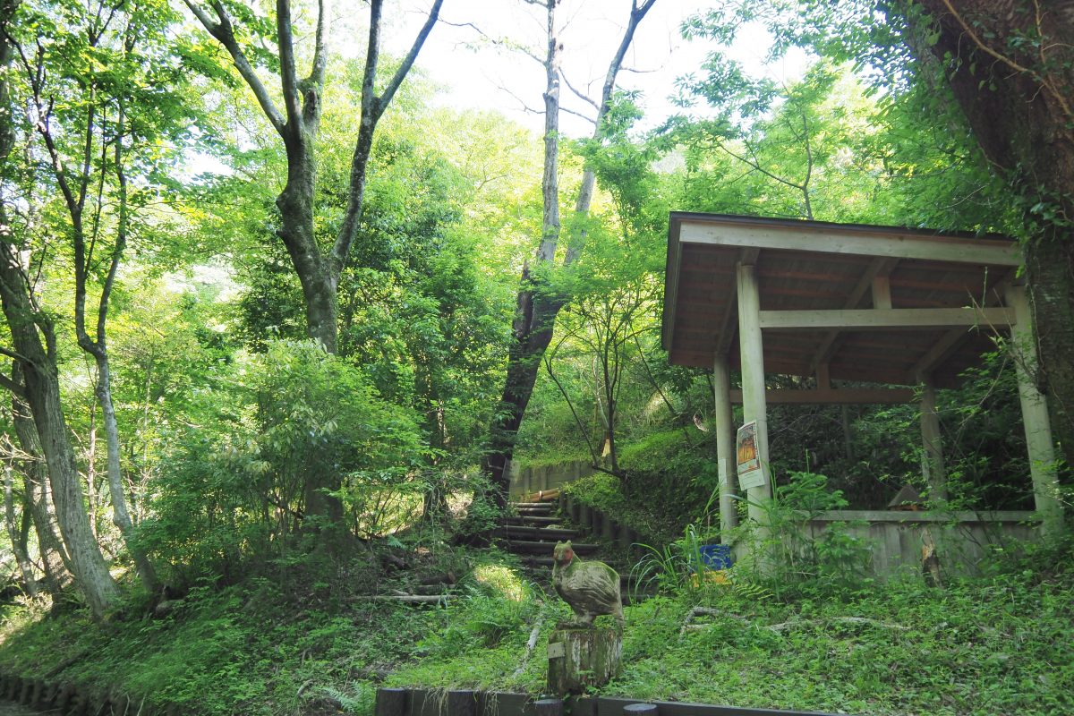 大野山　登山道