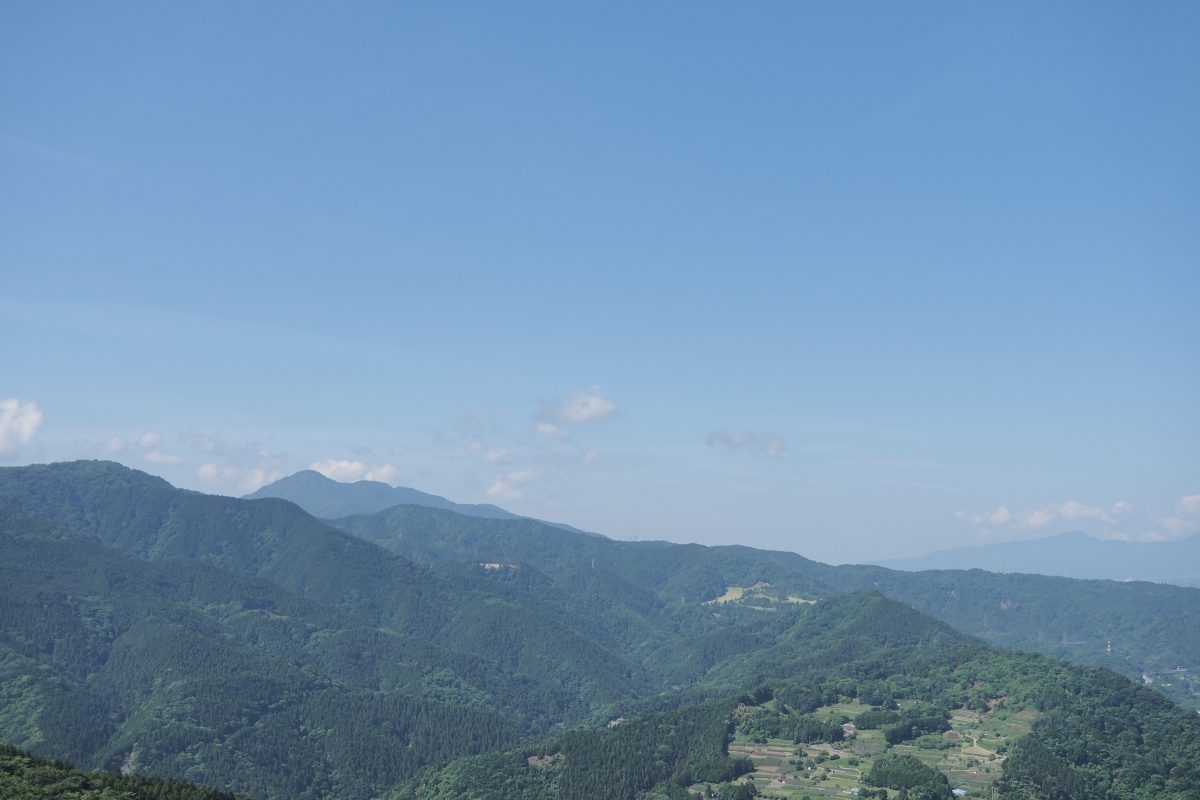 大野山　眺望