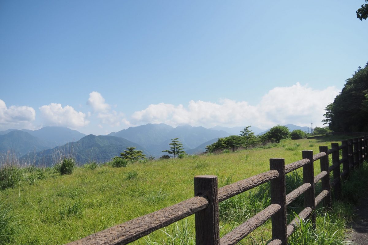 大野山　登山道