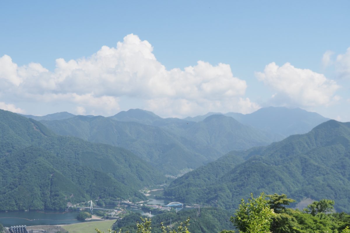 大野山　眺望