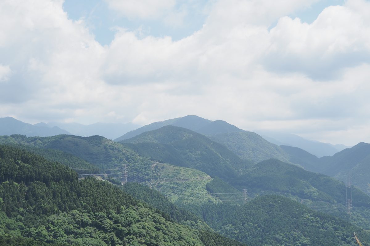 大野山　眺望