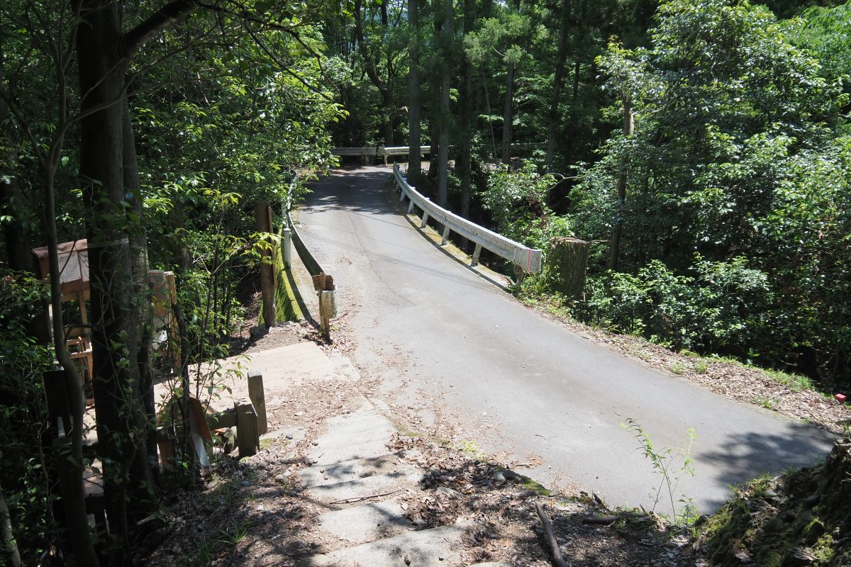 大野山　登山道