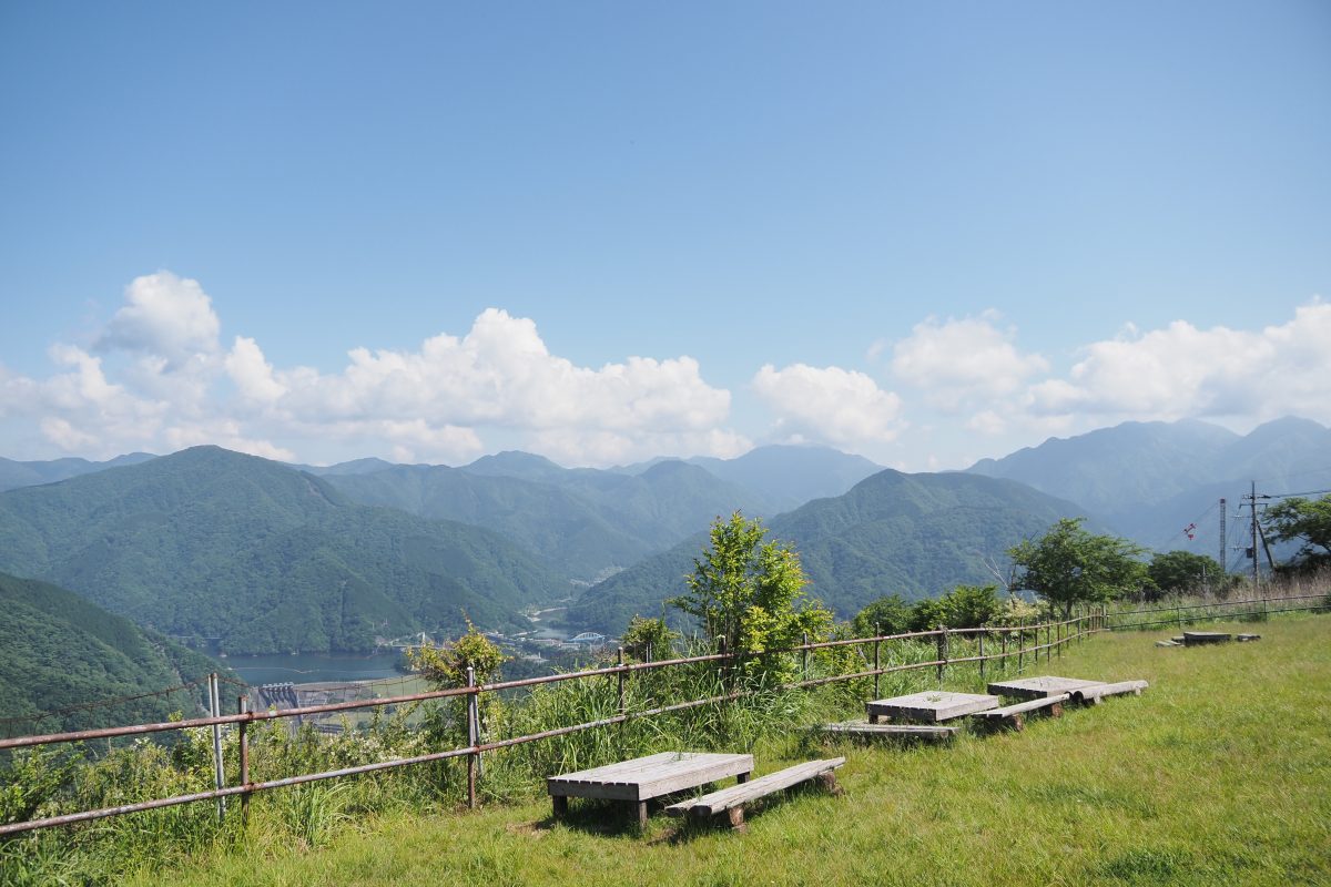 大野山　眺望