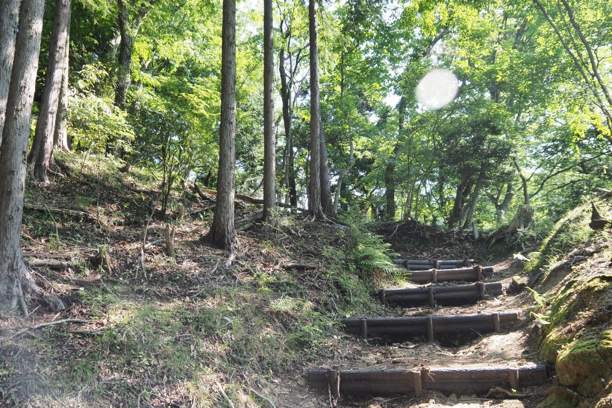 大野山　登山道