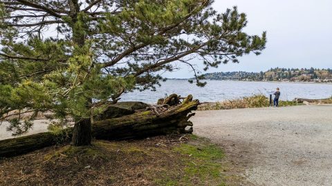 海を見渡せる遊歩道がいい！「リンカーン・パーク」【アメリカ西海岸・シアトルで絶景街ハイク（4）】