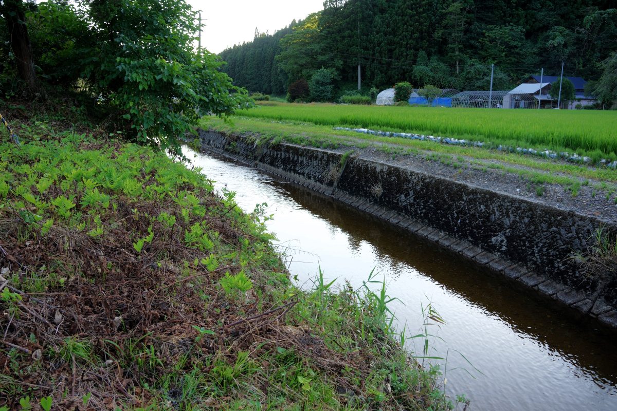 水切り石の川のイメージ2